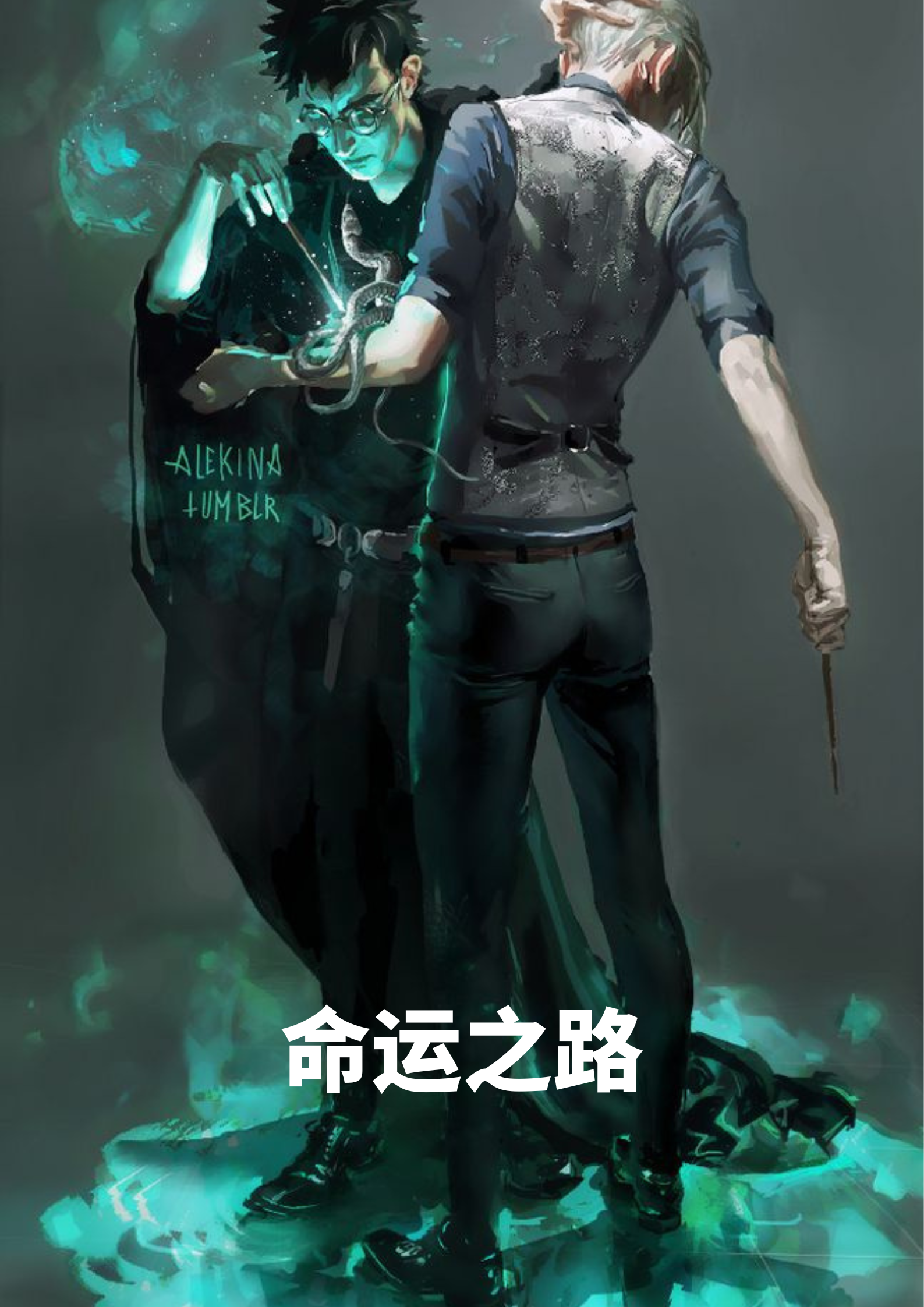 命运之路免费阅读，命运之路章节目录
