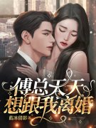 《傅总天天想跟我离婚》全集免费在线阅