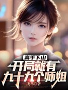 高手下山，开局就有九十九个师姐小说，