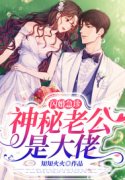 闪婚急诊，神秘老公是大佬小说，闪婚急
