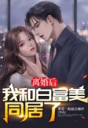 离婚后，我和白富美同居了免费阅读，离