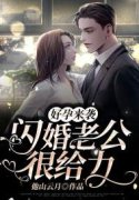 好孕来袭：闪婚老公很给力宋昭昭江靖尧