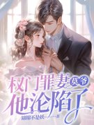 权门罪妻，莫爷他沦陷了素嫣莫南泽小说