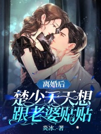 苏兮辞楚渡小说《离婚后，楚少天天都想和老婆贴贴》在线阅读