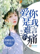 你是靠不了岸的船小说，你是靠不了岸的