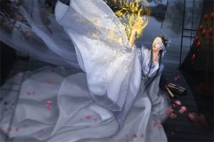 小说《直播算卦：警察叔叔就是他！》全