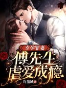 幸孕罪妻：傅先生虐爱成瘾顾清雨傅廷也