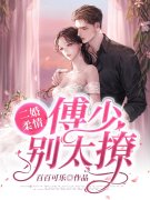 二婚柔情：傅少，别太撩！小说免费资源