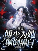完整版《辣妻：傅少为她颠倒黑白》全文