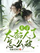 太子太黏人了怎么破芸娘江清宁小说大结
