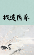 小说《极道医尊》全文免费阅读-经典文学