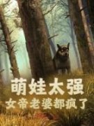 楚风龙雨柔是什么小说里面的主角|楚风龙