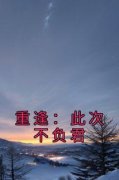 《重逢：此次不负君》姜程齐嘉彦小说精