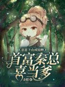崽崽下山成锦鲤，首富秦总喜当爹小说粥