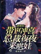 黎初厉南爵小说已完结|《新婚夜带崽冲喜