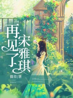 《再见了，宋雅琪》无删减阅读|主角郑文岑宋雅琪的小说名字