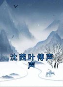 沈茜叶傅声声小说阅读_沈茜叶傅声声小说