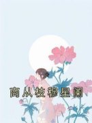 小说商从枝穆星阑商从枝穆星阑全文章节