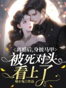 南夏霍宴深小说全文章节列表|离婚后，身