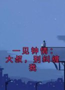 《一见钟情：大叔，别纠缠我》小说大结