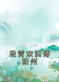 段霄宋沅傅斯州主角段霄宋沅傅斯州全文章节在线阅读