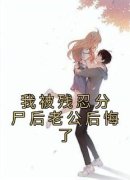 主角叫江沅沅陆淮顾小冉的小说|江沅沅陆