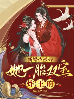 慕云澜楚寒霄书名叫什么_新婚夜被辱，她一胎双宝炸王府