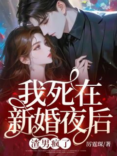 苏菀陆时晏小说无广告|《我死在新婚夜后，渣男疯了》小说无删减