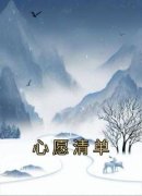 宁昊司诗雅小说结局|《心愿清单》已上线
