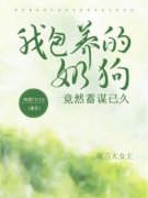 裴遇川程芙沈时小说无删节|《我包养的奶