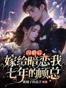 柳楠顾裴昭小说无广告|《闪婚后，嫁给暗