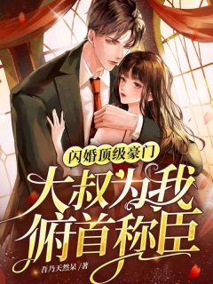 《闪婚顶级豪门，大叔为我俯首称臣》小说目录在线阅读|主角苏淮顾云爵的小说名字