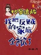 抄家流放，我把反贼的家底全掀了免费阅