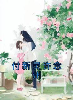 付新灵许念州小说已完结|《付新灵许念州》小说在线免费阅读章节