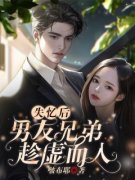 何蜜周靖淮是什么小说里面的主角|何蜜周