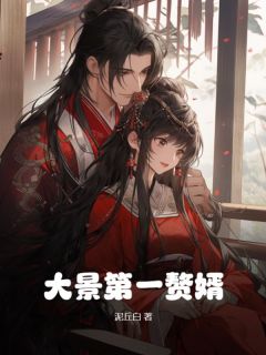 大景第一赘婿全文|宋安彩云郡主最新版阅读