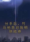 主角苏歆秦清言秦敬轩的小说名字|《分手