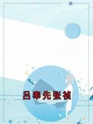 《吕奉先张祯》小说目录在线阅读|张祯吕