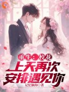 凌毅蔡琰的小说免费阅读重生追妻：从送