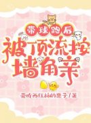 《带球跑后，被顶流按墙角亲》小说目录