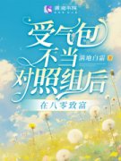 潘叶林梅主角的小说|潘叶林梅做主角的小