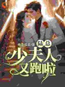陆总，少夫人又跑啦免费试读(林洛笙陆景