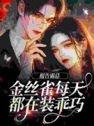 《暗里贪欢》傅婳裴闻渡小说全文免费阅