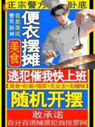 我一厨师便衣，抓***逃犯很合理吧精彩章