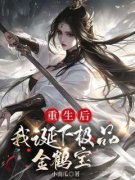 《重生后，我诞下极品金鹤宝》小说精彩