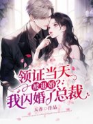 苏浅浅慕容夜是哪本小说主角|苏浅浅慕容