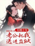 结婚十年，老公把我送进监狱小说精彩章