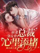 宁汐顾淮景小说|前妻一身反骨，总裁心里