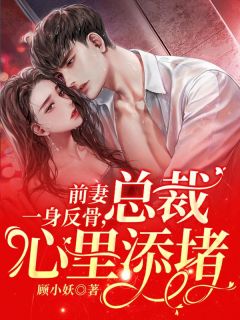 宁汐顾淮景小说|前妻一身反骨，总裁心里添堵全本章节阅读