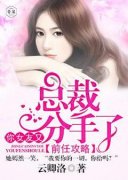 洛沁江绪小说(完整版)|前任攻略：总裁，